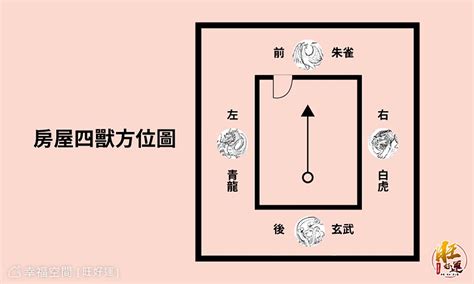 瓦斯爐在龍邊|風水有關係：謝沅瑾老師，屋前電線桿、門切床、門沖灶、水火正。